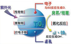 &#27431;&#23453;&#23448;&#26041;&#119;&#101;&#98;&#31449;&#45;&#79;&#112;&#101;&#108;&#32;&#111;&#98;&#40;&#20013;&#22269;&#41;